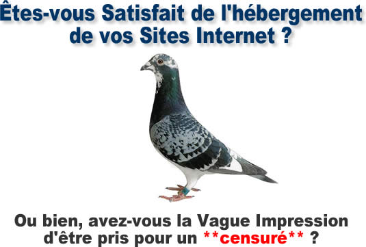 H&eacute;bergement IOnternet, &ecirc;tes-vous satisfait ?